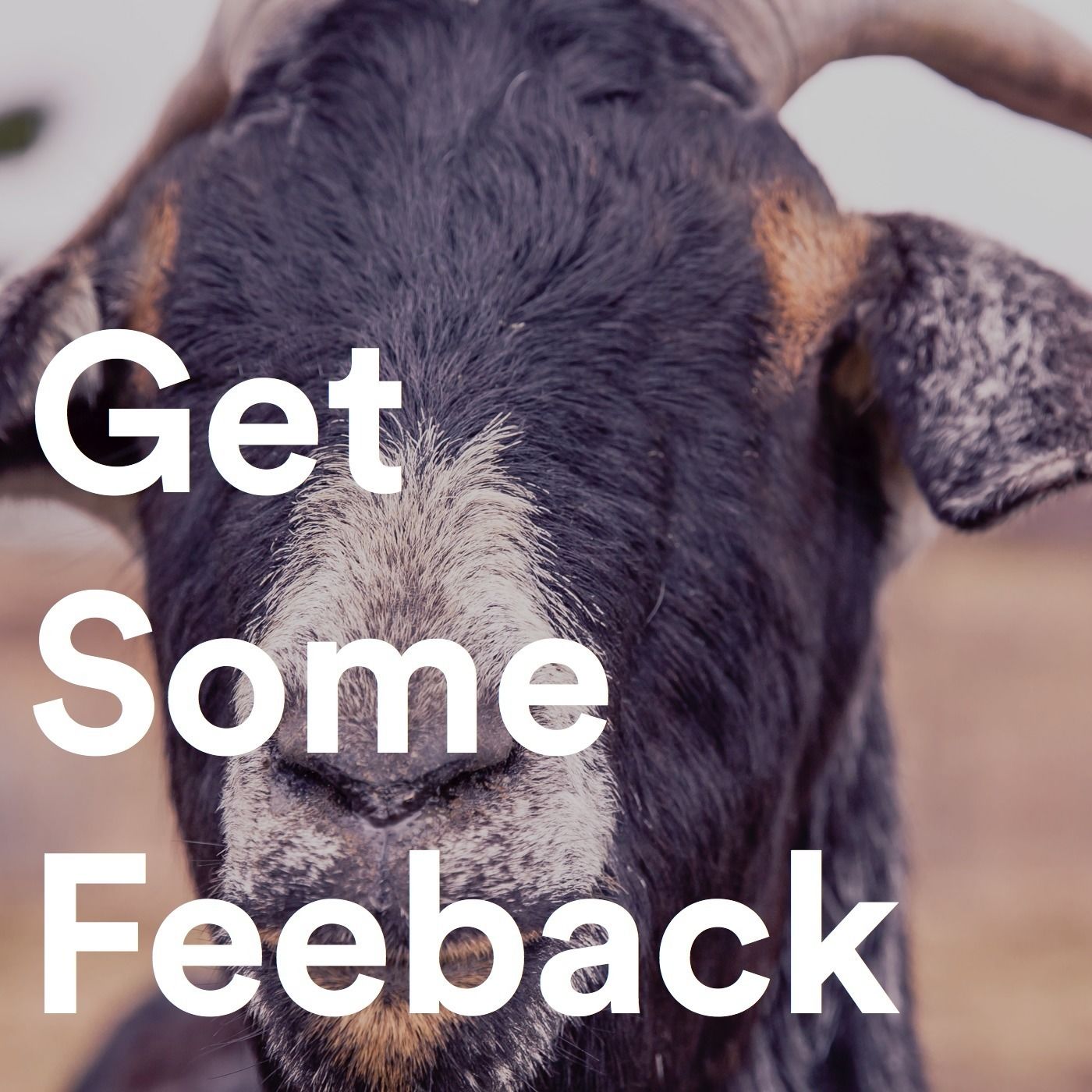 How To Get Constructive Feedback How To Get Constructive Feedback