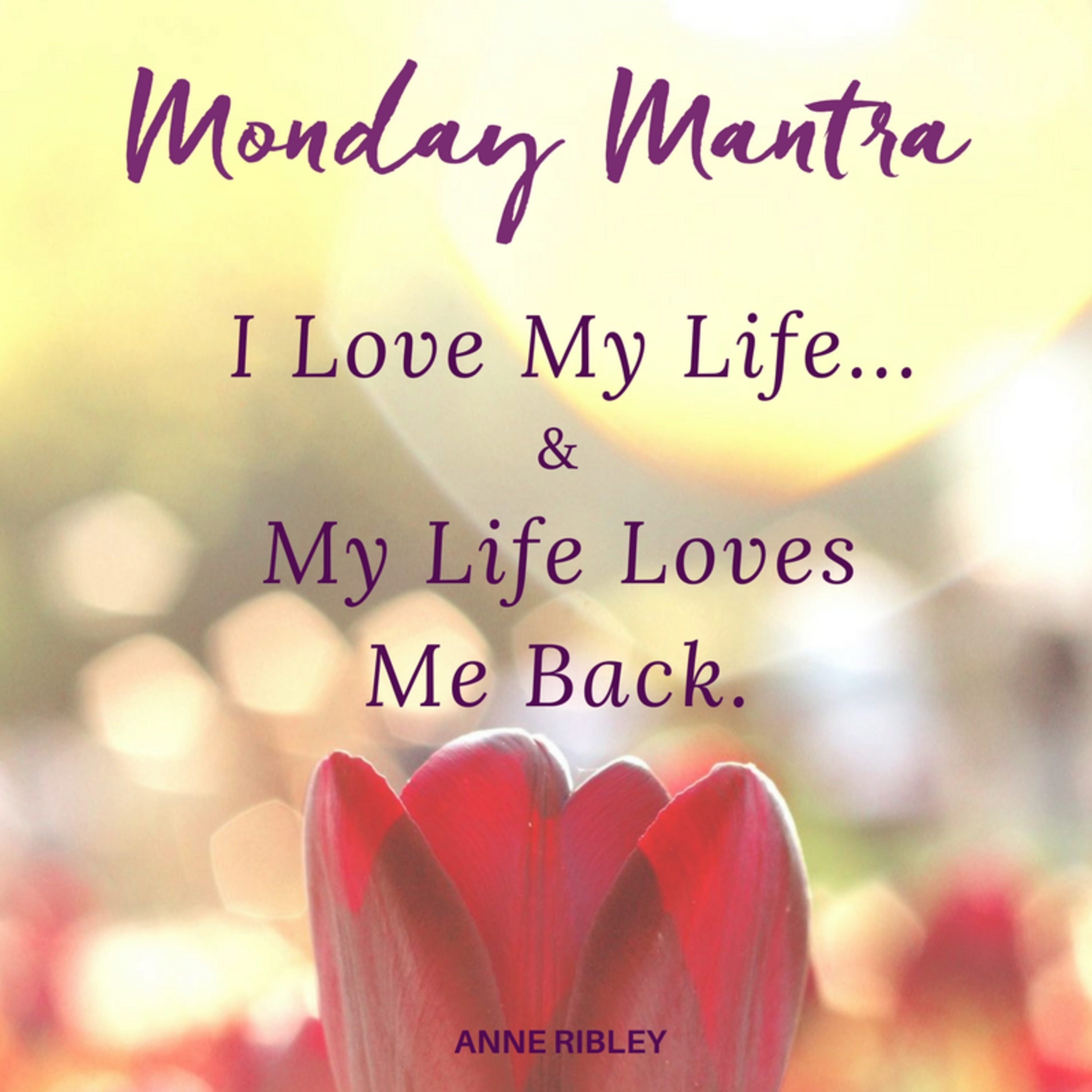 MONDAY MANTRA: I Love My Life & My Life Loves Me Back