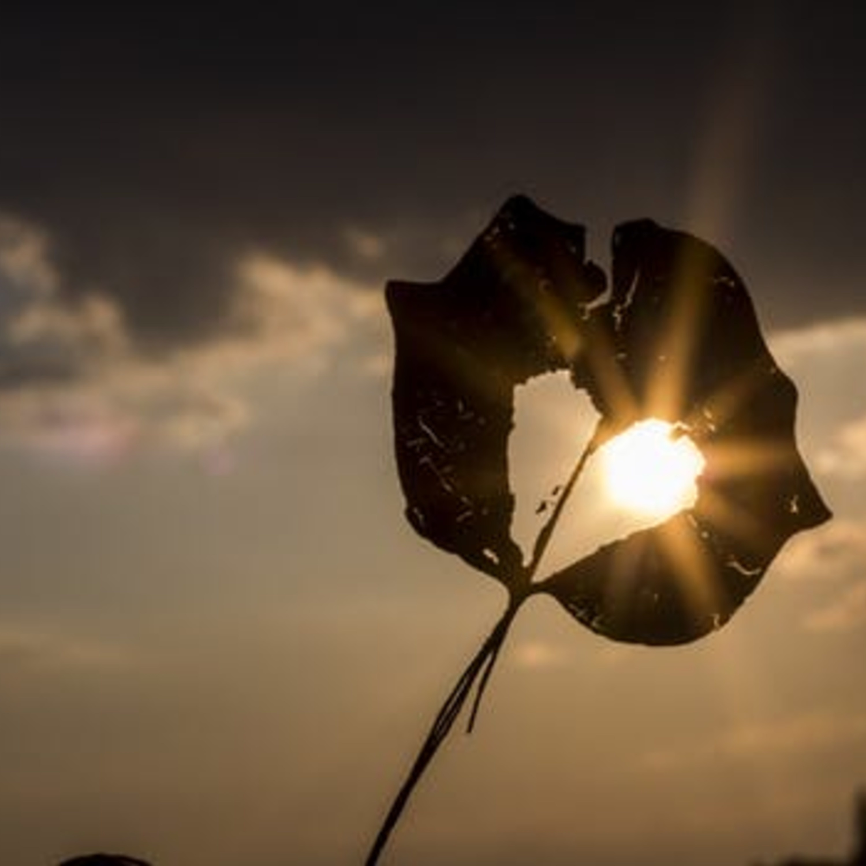 What we can do to prepare for our death or the death of a loved one