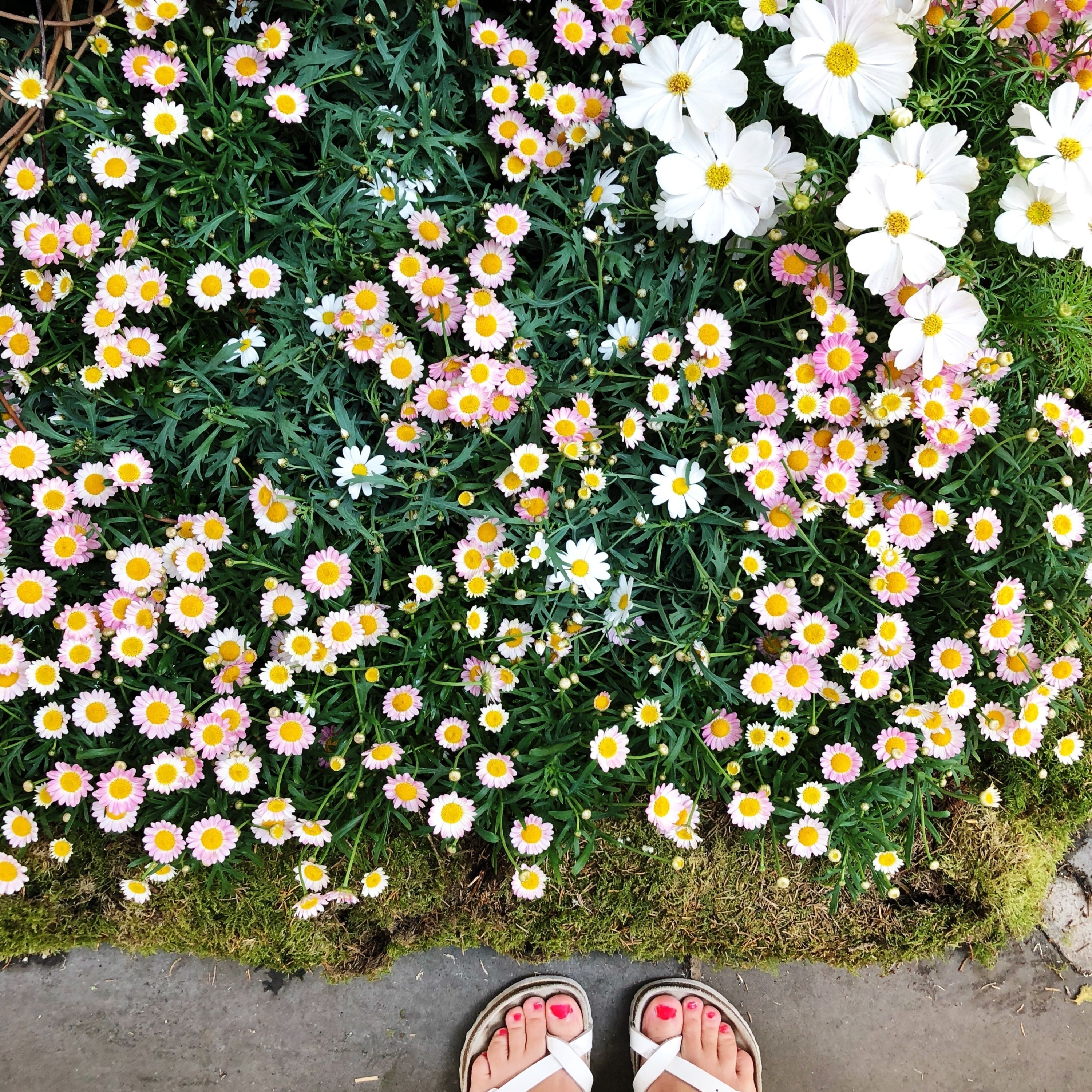 Episode 8 : Taking Tiny Steps Forward