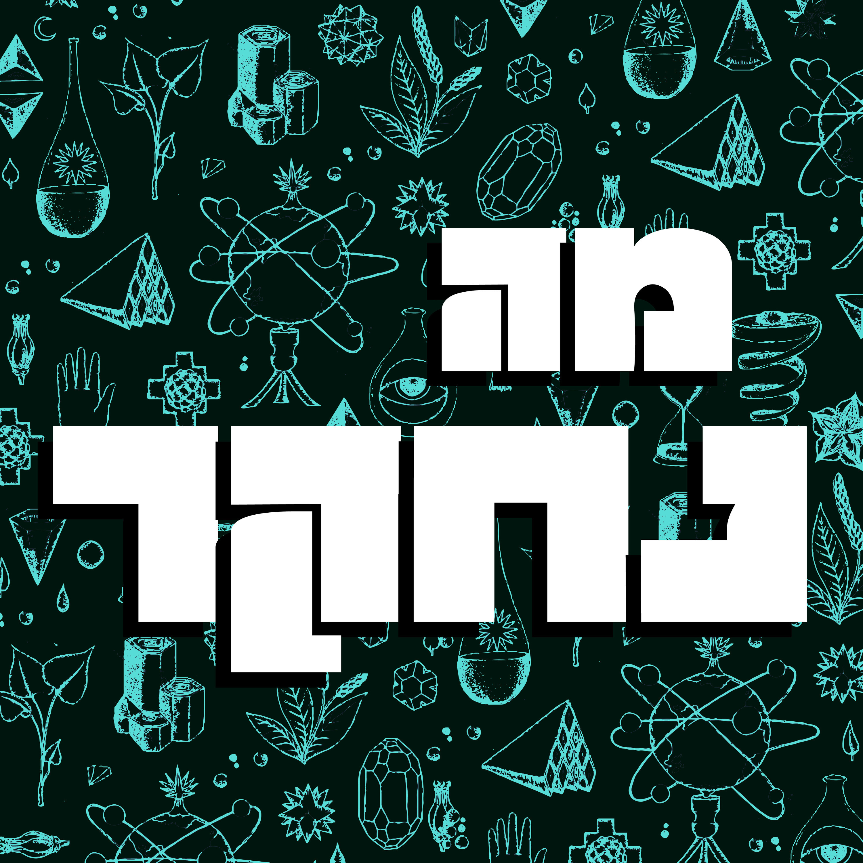 פרק 16 – על כלכלת מימן עם שמואל גונן