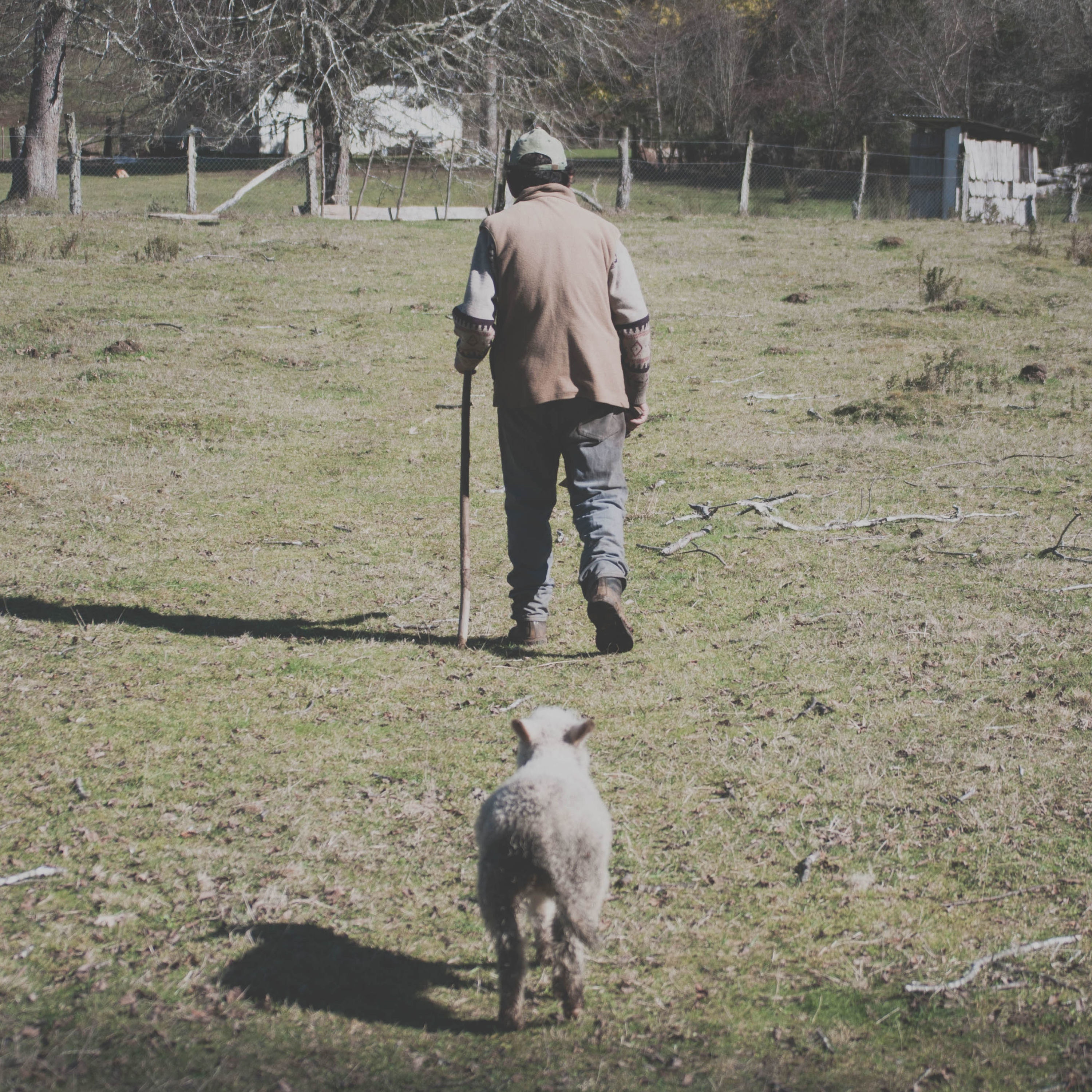 TH4: Old Saints, New Songs