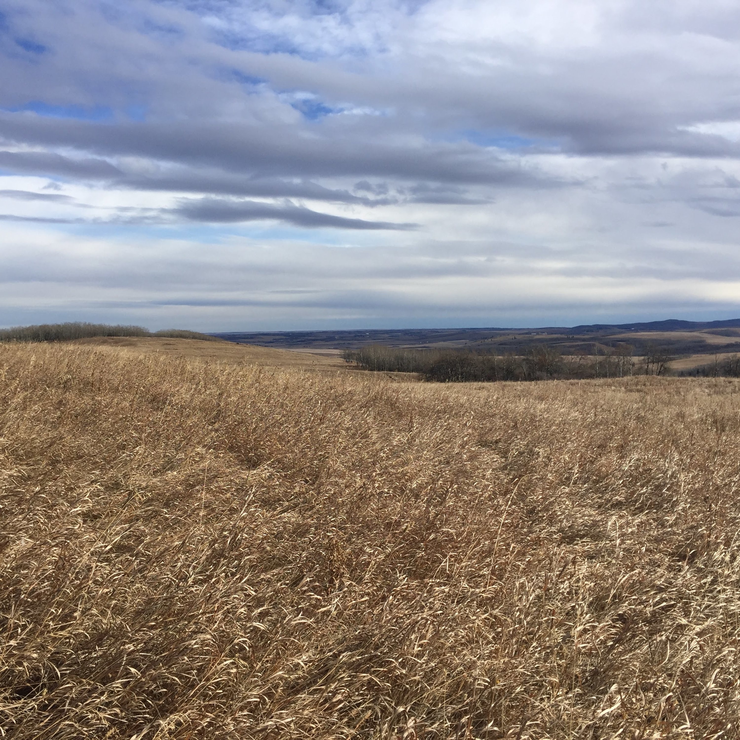 29. Ann and Sandy Cross Conservation Area