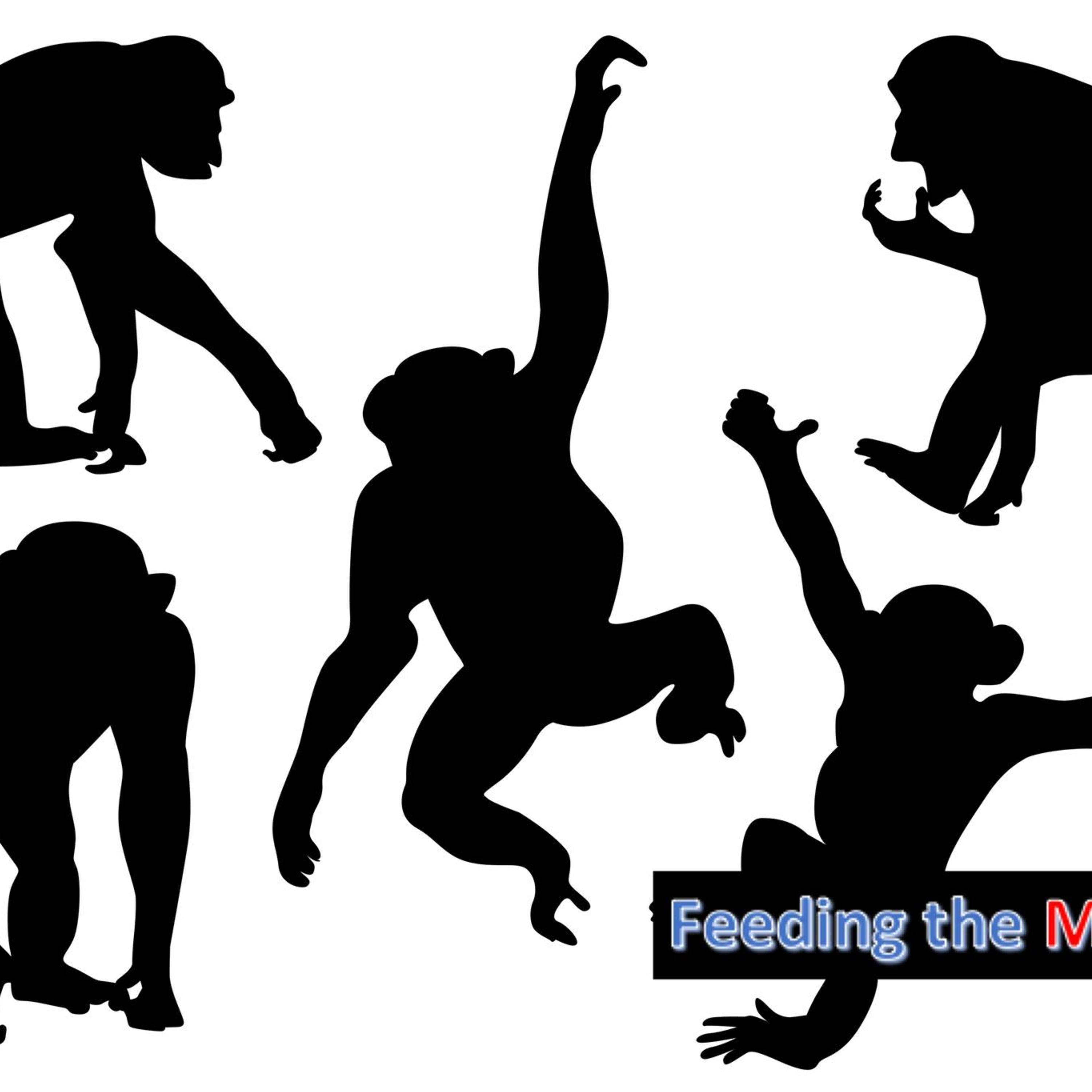 Feeding the Monkey Season 2