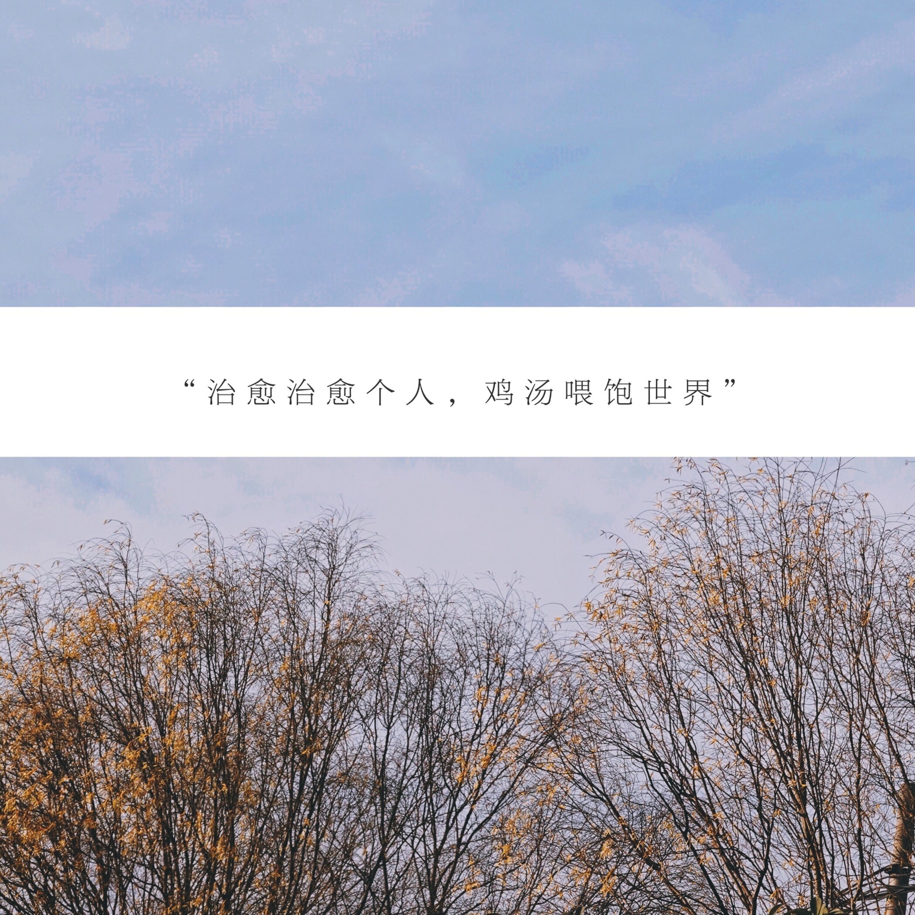 鸡汤虽好,可不要贪杯哦~_OPEN.5