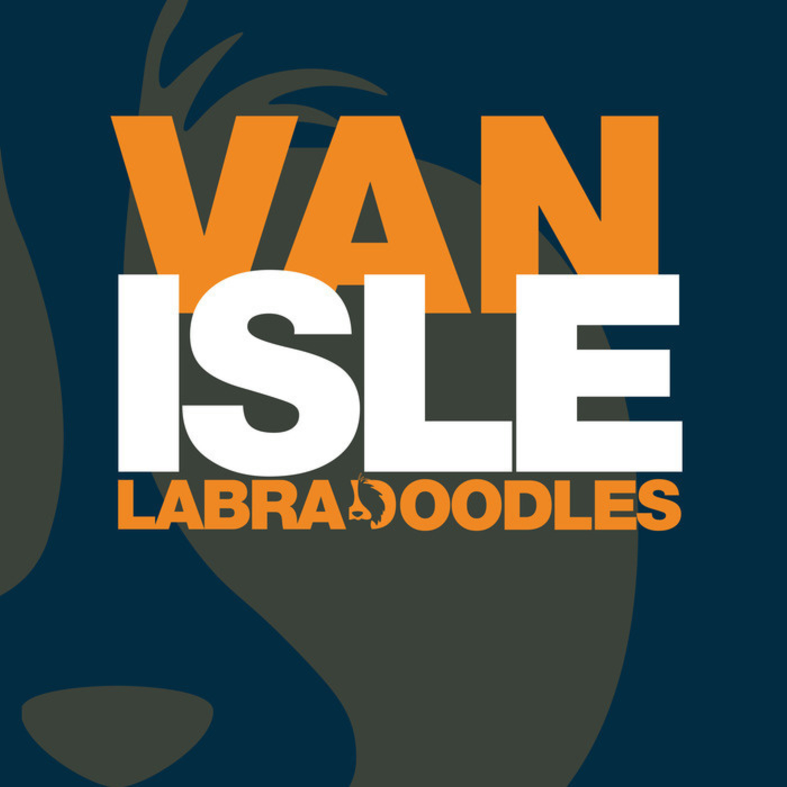 Choosing a Vet and Trainer | Razzle Dazzle Litter Ep02