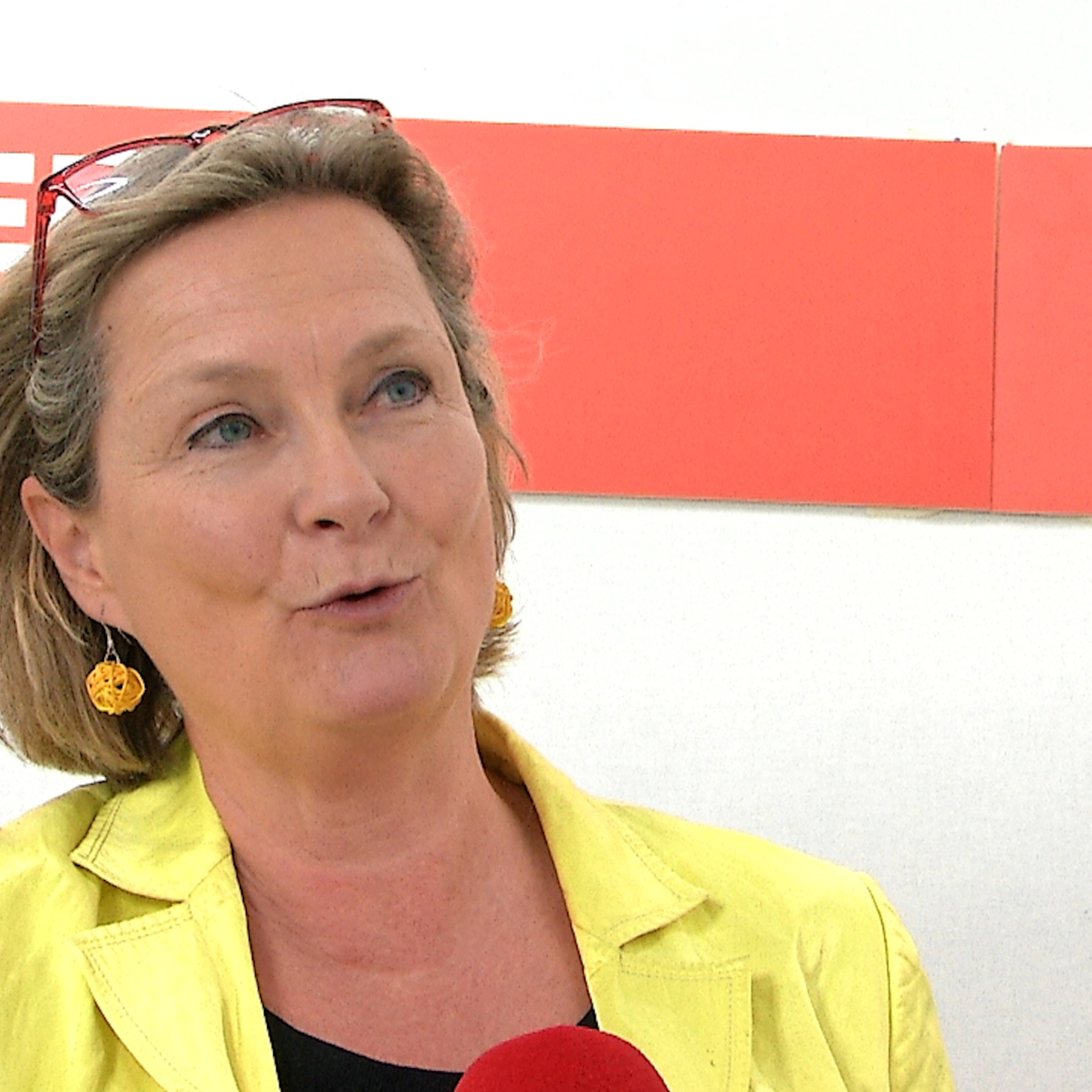 EU-Kandidaten: Bettina Vollath (SPÖ)