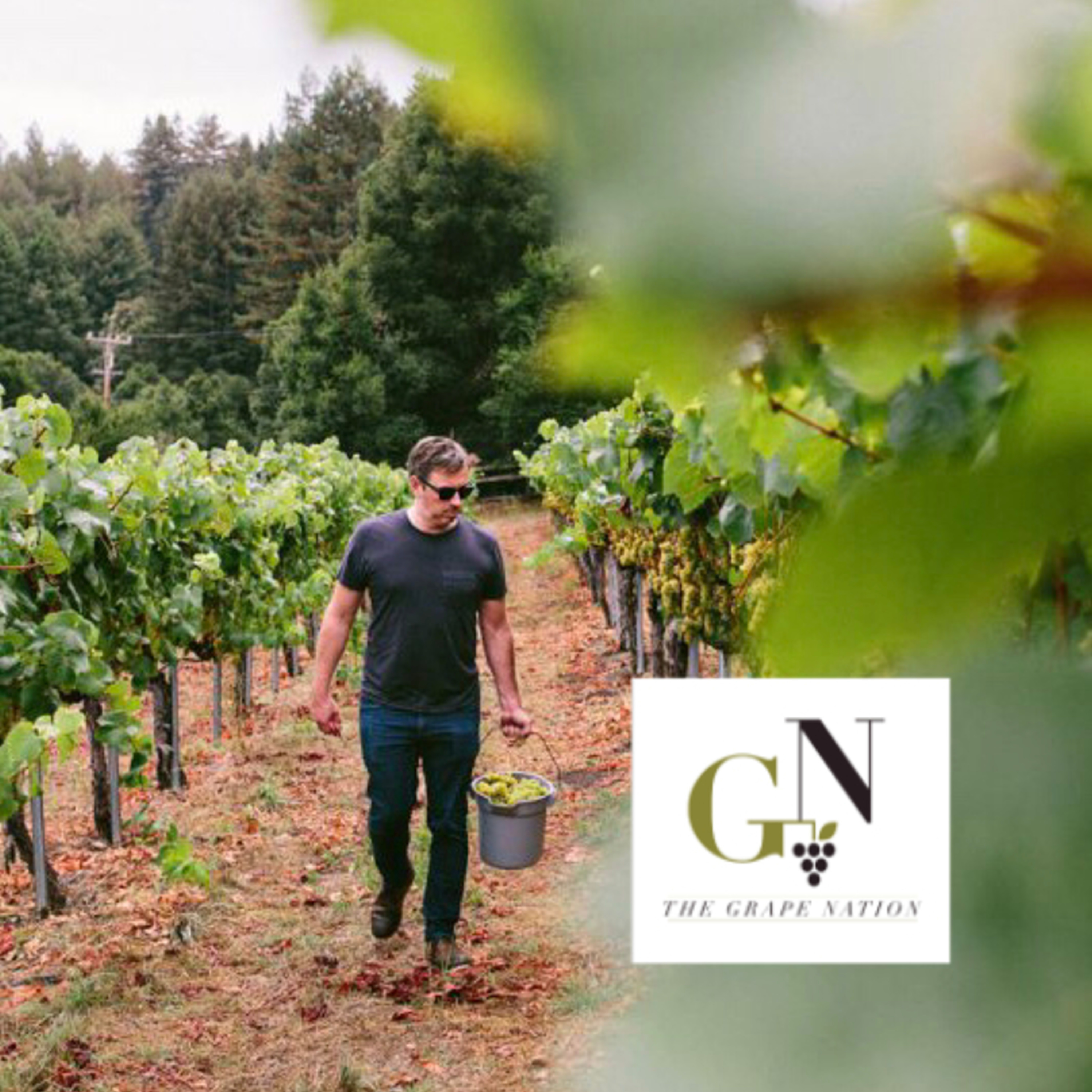 Episode 112: John Raytek, Winemaker and Co-Owner, Ceritas Wine, CA.