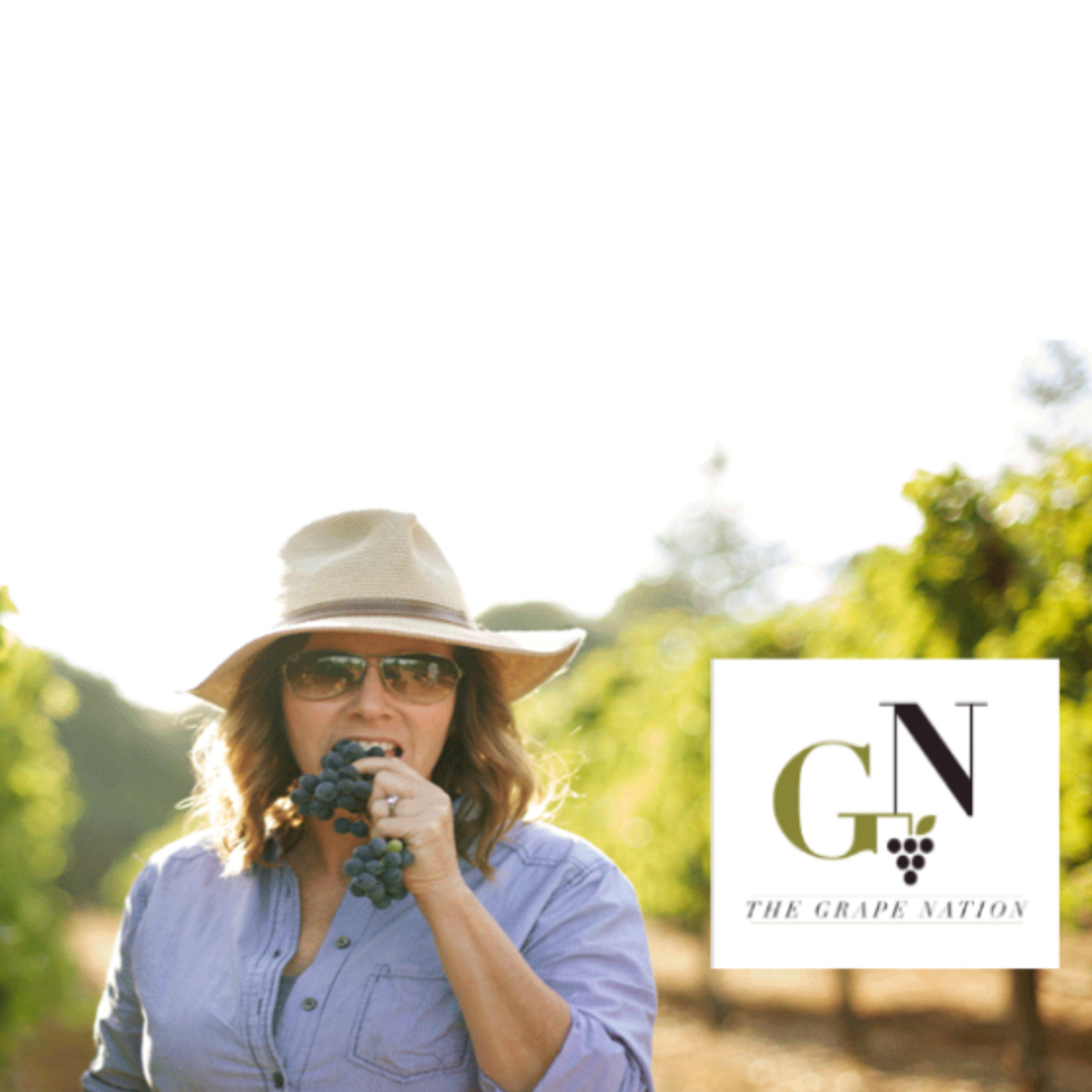 Episode 117: Tracey Brandt, Donkey and Goat Winery