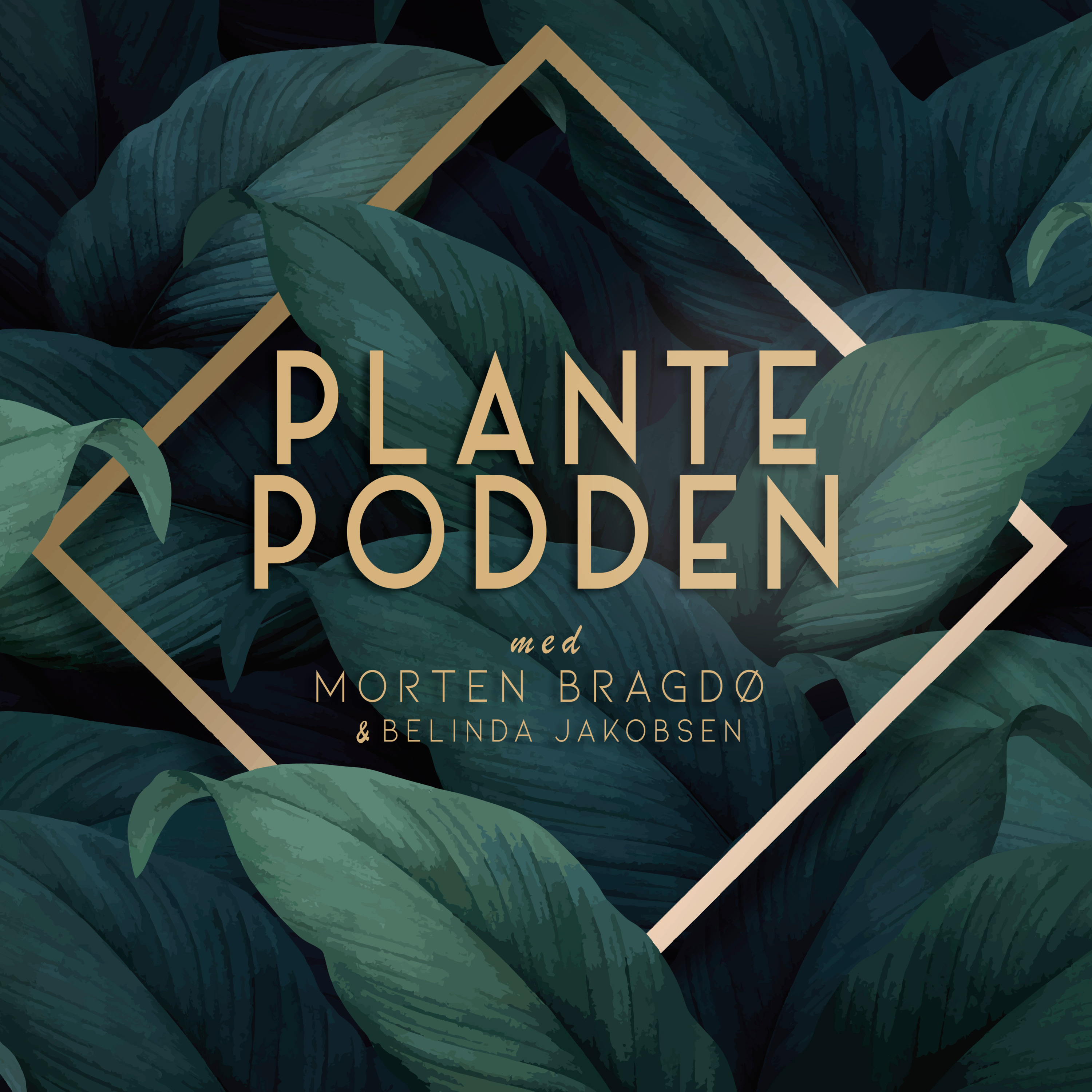 23. Gleden ved planter