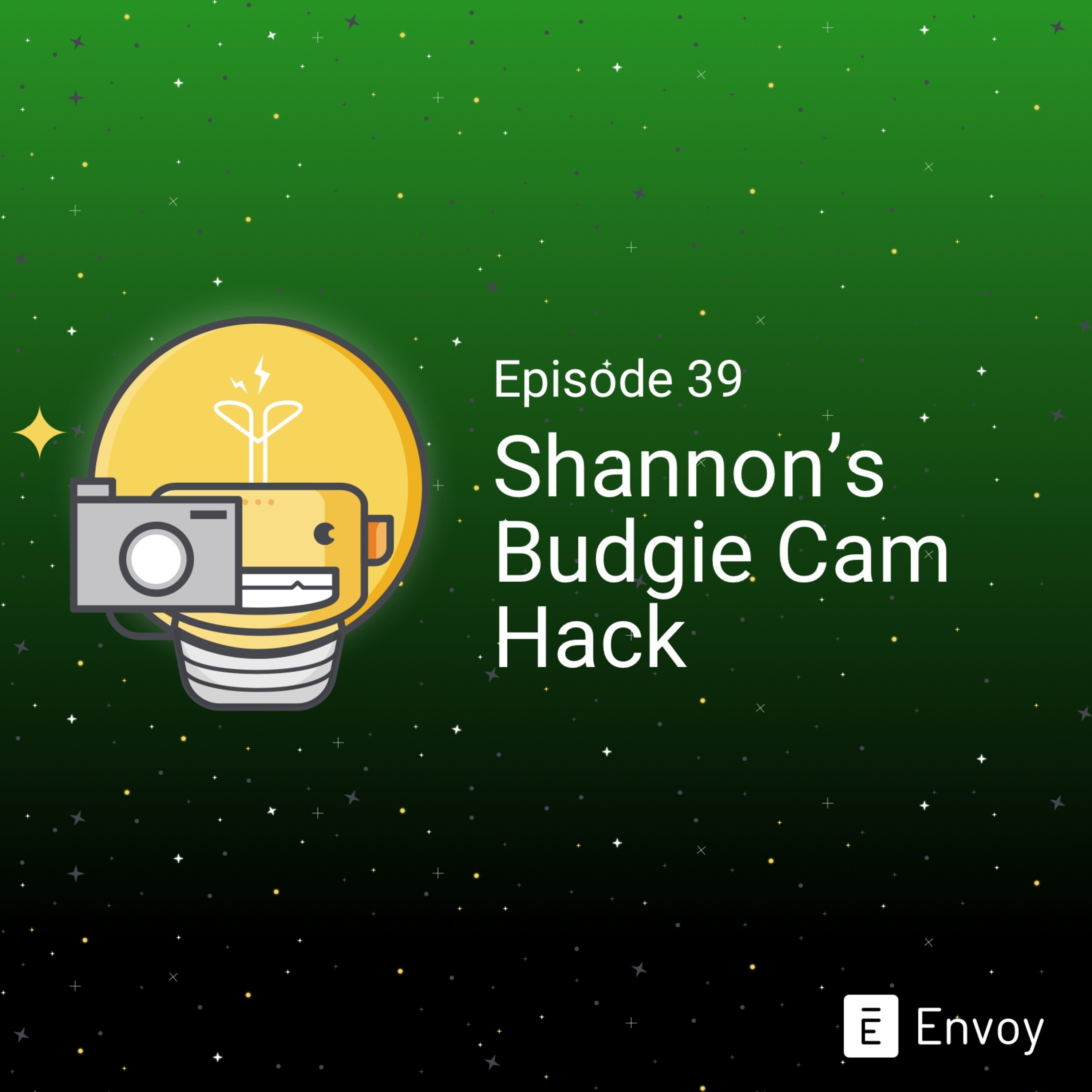 #39 - Shannon's Budgie Cam Hack
