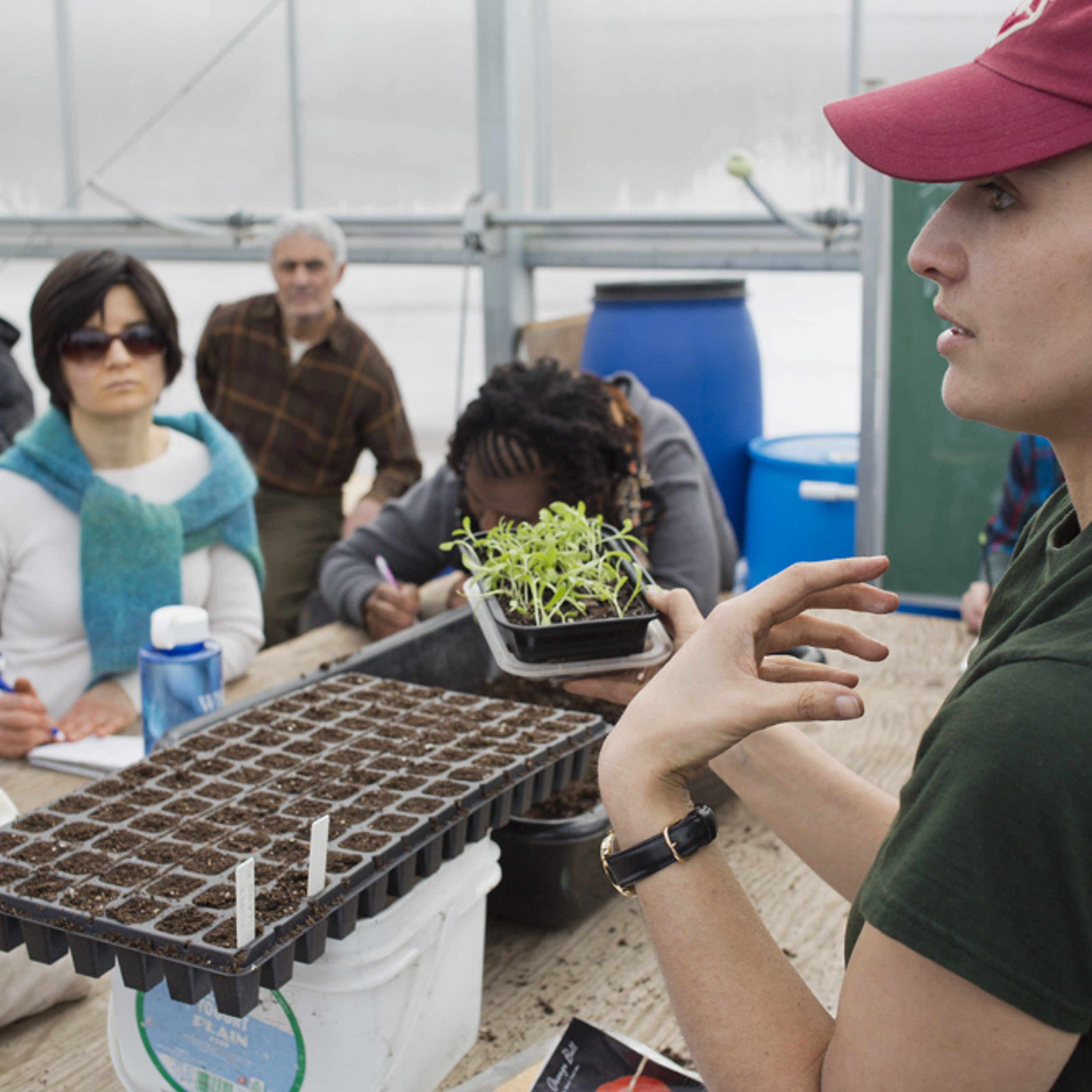 Episode 295: Erika Rumbley, The New Garden Society