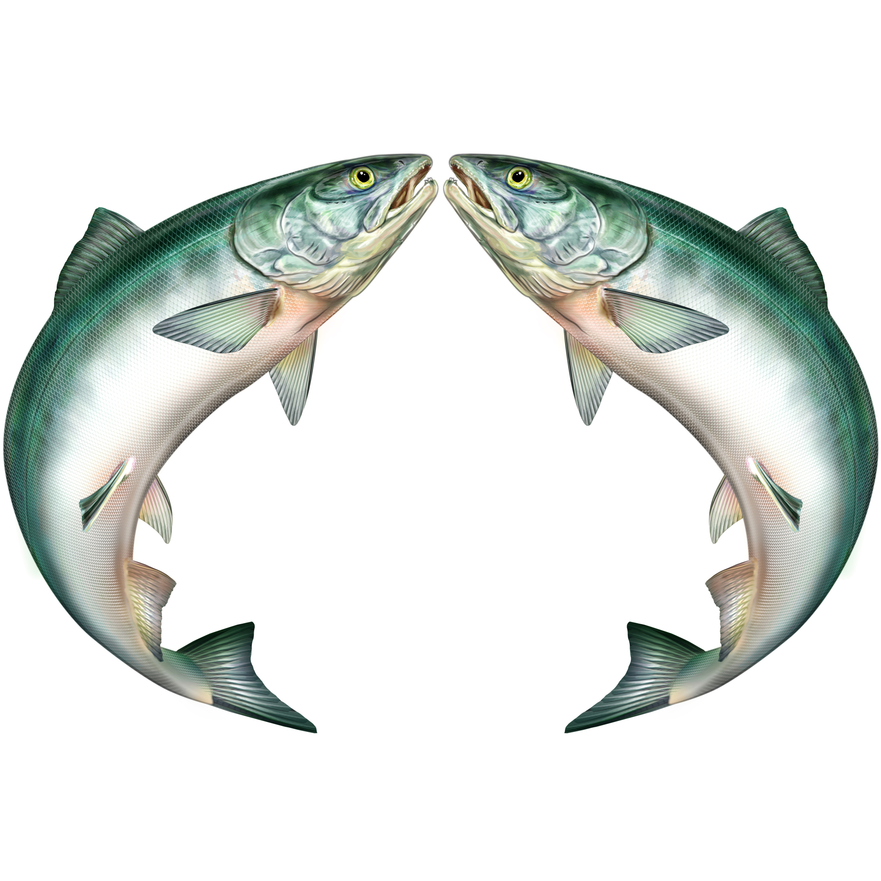 Ep. 71: This week I learned that salmon sex literally moves mountains, and more