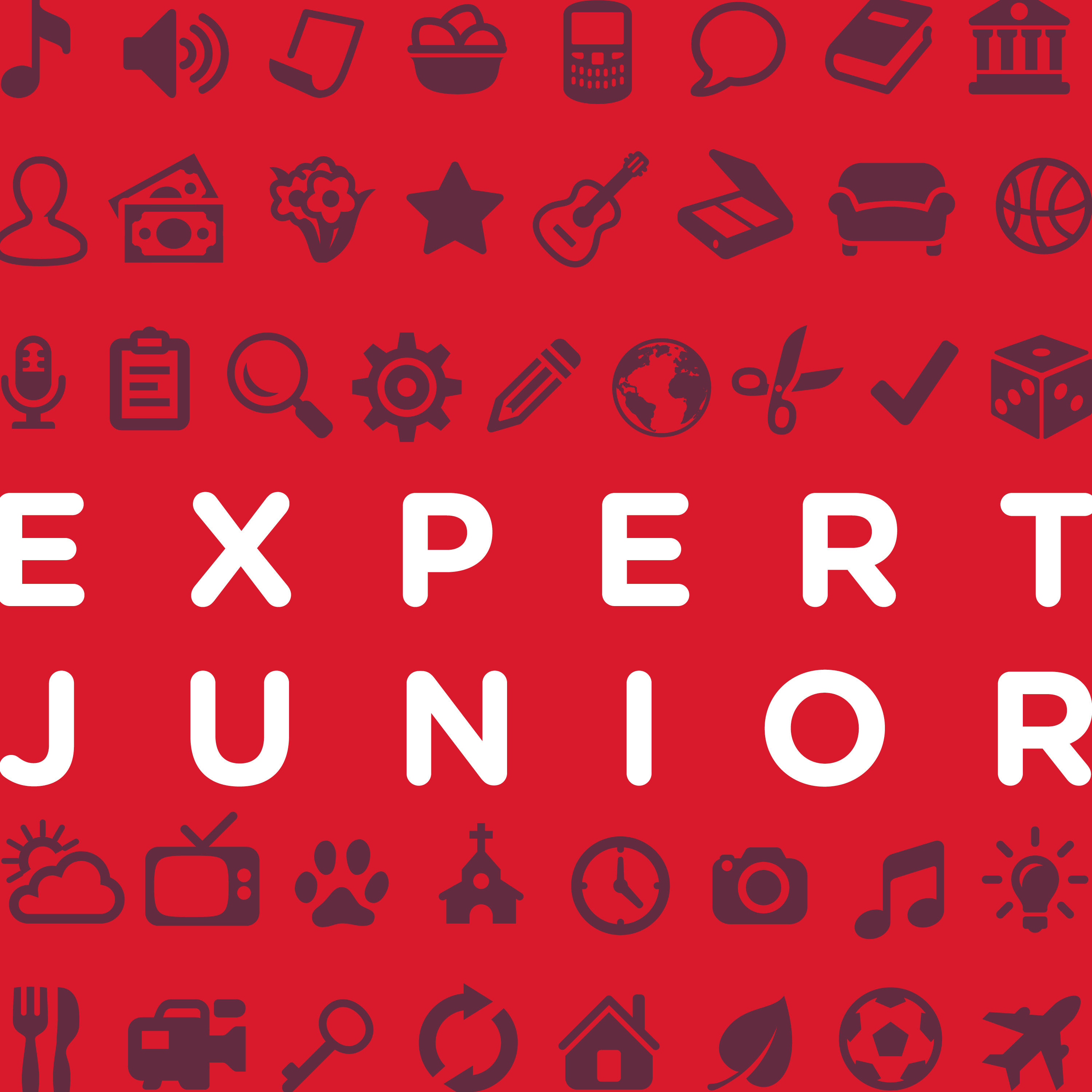 Expert Junior