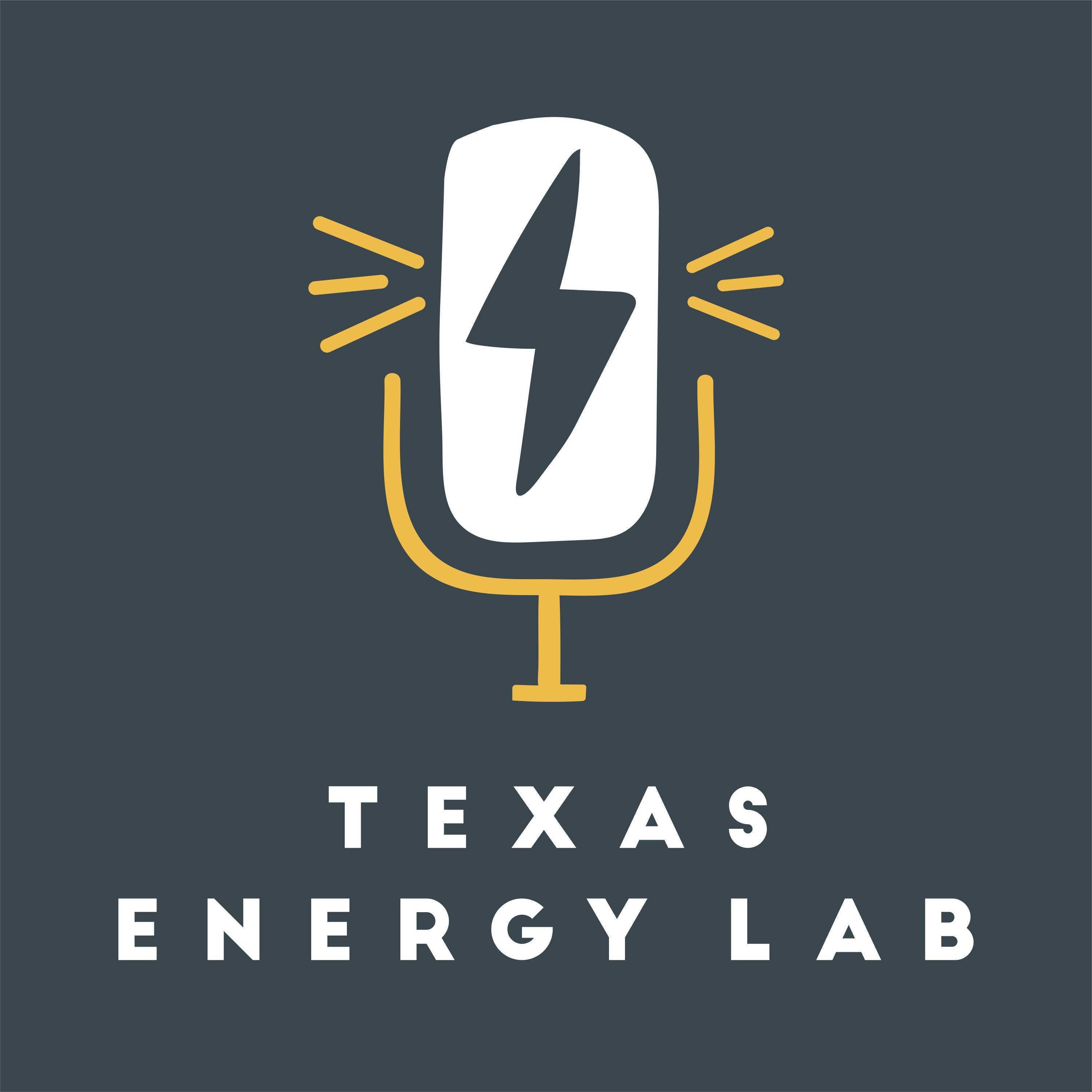 Texas Energy Lab cover